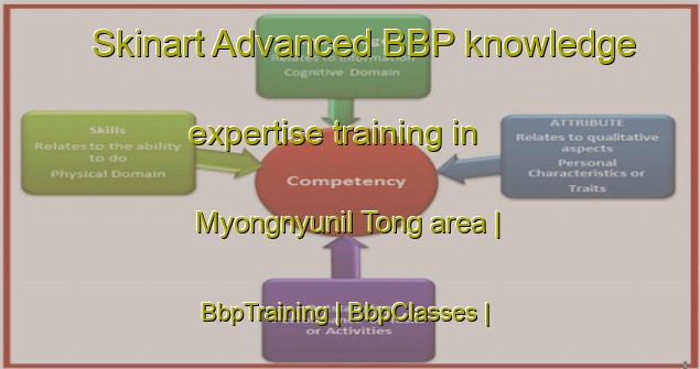 Skinart Advanced BBP knowledge expertise training in Myongnyunil Tong area | BbpTraining | BbpClasses | SkinartTraining-Republic of Korea